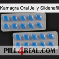 Kamagra Oral Jelly Sildenafil 23